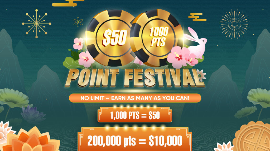 Point festival copy
